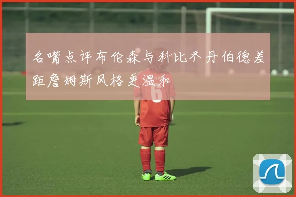名嘴点评布伦森与科比乔丹伯德差距詹姆斯风格更温和