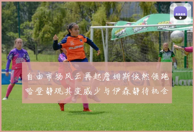 自由市场风云再起詹姆斯依然领跑哈登静观其变威少与伊森静待机会